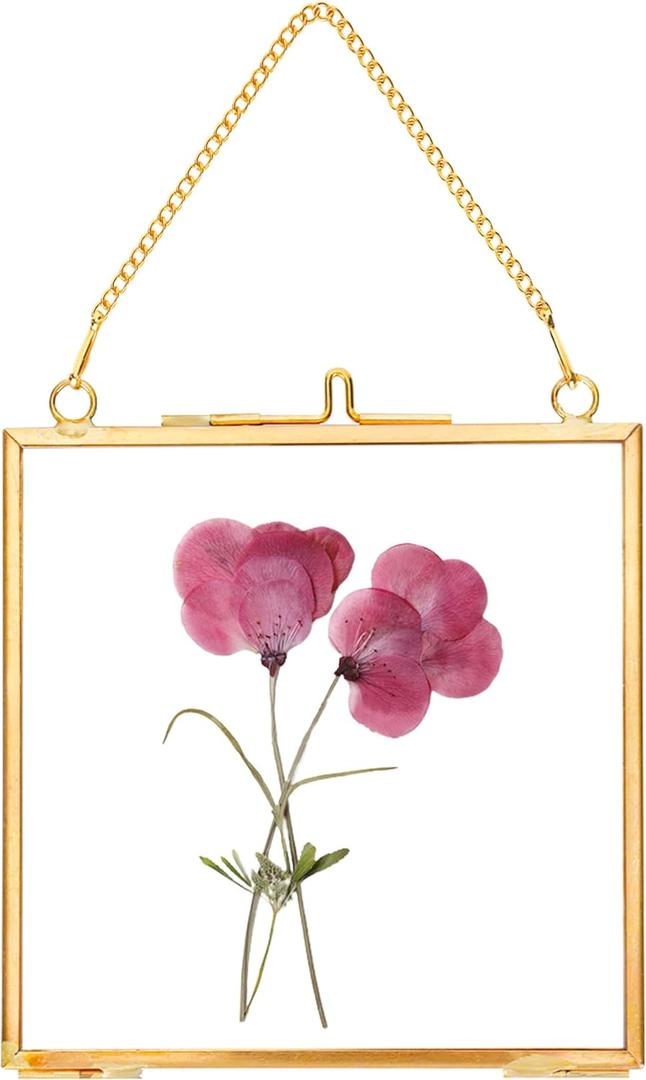 REDHUGO Glass Pressed Flower Frames,Vintage Hanging Picture Frames with Chain,Handmade Brass Floating Picture Frame,Plant Specimen Wall Ornament Display Artwork DIY Family Photo,Square,Gold,4x4 Inches