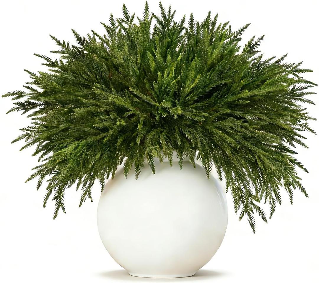 Cieex 16 Pcs Artificial Norfolk Pine Branches - Real Touch Pine Stems Fake Plants Pine Picks Faux Greenery Stems for Vase DIY Crafts Garland Wreath Christmas Indoor Outdoor Home Decor