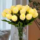HOMESEASONS 20pcs LED Lighted Artificial Flowers Tulip Lamp Real Touch Tulips Faux Flower Lights for Valentine's Day and Easter Home Kitchen Wedding Dining Table Decor(White)