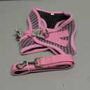 Eagloo Small Dog Harness and Leash Set, Step in Puppy Vest with Breathable Soft Mesh, Walking Reflective Pet Harness for Medium Small Dogs, Pink, M (Chest:16.0"-18.5")