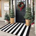 Collive Black and White Outdoor Rug 3'x 5', Hand Woven Washable Striped Outdoor Christmas Rug, Farmhouse Front Porch Rug Decor, Welcome Layered Door Mats for Front Door Entryway Patio Kitchen