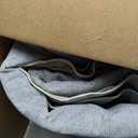 Collive Large Area Rug for Living Room 9x12, Neutral Boho Washable Area Rug 9x12 Non Slip Modern Farmhouse Bedroom Carpet Stain Resistant Ultra-Thin Low Pile Print Floor Mat for Dining Office - Beige