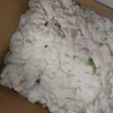 RIDDSEE 6pcs Flower Wall Backdrop16.5 x16.5 Artificial Floral Panels-White