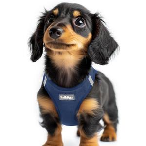 rabbitgoo Small Dog Harness, Step-in Soft Mesh Puppy Vest with Safety Buckle, Breathable Reflective Pet Harness for Extra Small Dogs, Navy Blue XXS