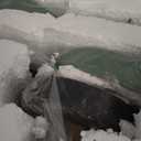 LED Dimmable Modern Ceiling Light Fixture, 30 Inch 5-Light Wooden Flush Mount Chandelier for Living Room, Bedroom, Kitchen - 3000K/4000K/6000K Green Ceiling Lamp