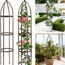 6.3Ft 100% Metal Garden Obelisk Trellis for Climbing Plants Outdoor, Rose Trellis for Potted Plants, Sturdy Garden Trellis for Climbing Vines, Vegetables, Flowers Stands, 1 Pack