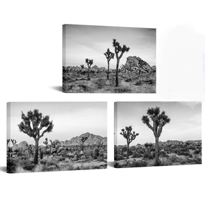 Nachic Wall Joshua Tree Landscape Canvas Print Black and White Southern California Desert Pictures Wall Art Stretched and Framed Artworks Modern Living Room Bedroom Office Home Decor (Medium)