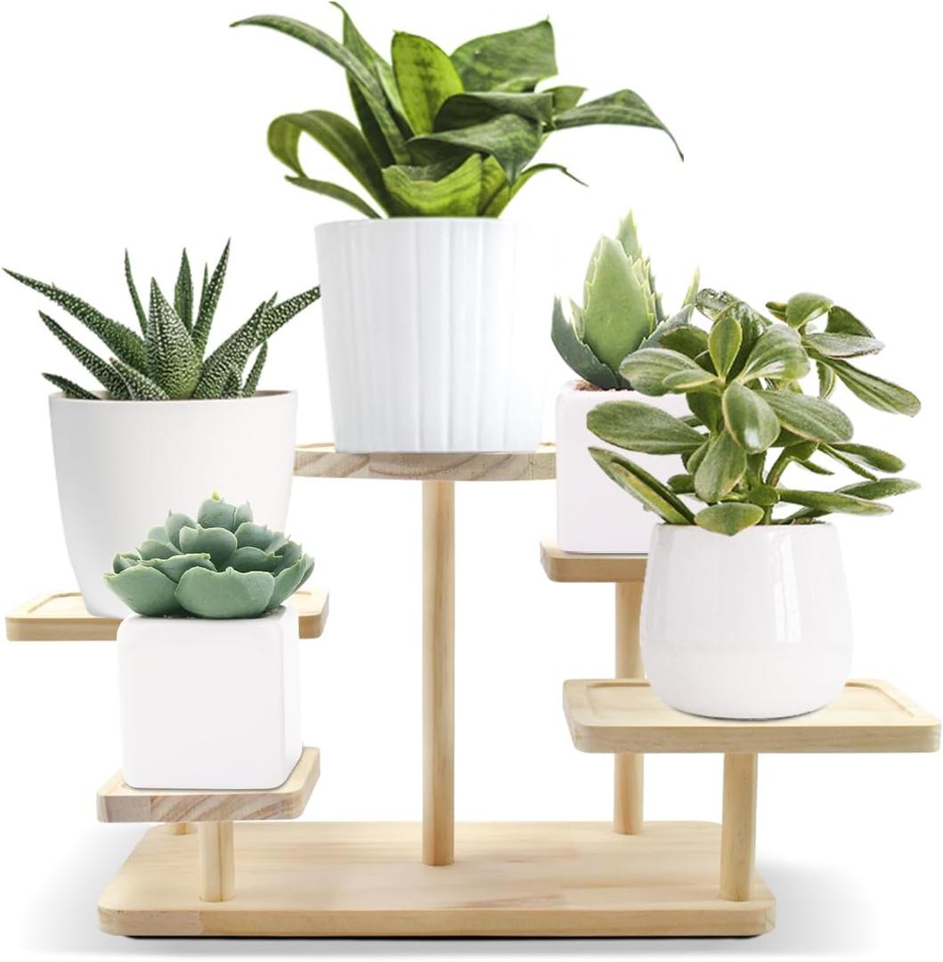Small Table Top Plant Stand Indoor 5 Tier Wooden Tabletop Adjustable Mini Plant Shelf for Desk, Desktop, Outdoor Patio Garden Decorations