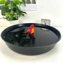BESPORTBLE Birdcage Bath Tray Cockatiel Gazebo Bowl Round Container Bath Tub Dog Bathing Feeder Birdcages Budgie Parrot Bird Bath for Canary Cage Birdbath Pond Black Plastic