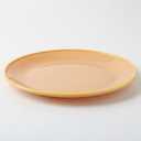 10 Classic Round Plastic Plate – Shatterproof Tableware for Kitchen, Picnic, and Camping