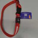 Super Bright LED Dog Collar - Fully Waterproof & Adjustable Glow Collar - USB-C Rechargeable for Night Walking, Safety - Flashing Lighted Collar for Dogs(Red,Large)