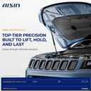 AISIN AFTERMARKET GASGM-00359 2Pcs Front Hood Lift Support Shock Strut
