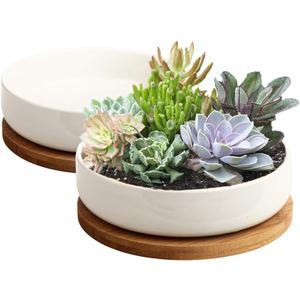 ZOUTOG Succulent Pots,6 Inch Succulent Planters with Drainage and Tray,White Ceramic Planters for Indoor Plants,Round Shallow Flower Plant Pots,Pack of 2 (6.14*1.57 inches)