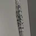 totes Adult Clear Bubble Umbrella with Dome Canopy and Lightweight Wind and Rain Protection (White & Black Dots)