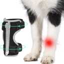 Dog Front Leg Brace with Removable Metal Springs- Adjustable Reflective Dog Wrist Brace, Anti-Slip Reverse-Buckle Design & Breathable Soft Fabric for Arthritis, Sprains, Injury Recovery(Black, S)