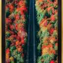 Space Art Deco, 16x20 Ornate Picture Frame Without Mat for 16x20 Photo,Shatter-Resistant Glass Sawtooth Hangers Wall Mount Display(Color Black/Classic Gold)