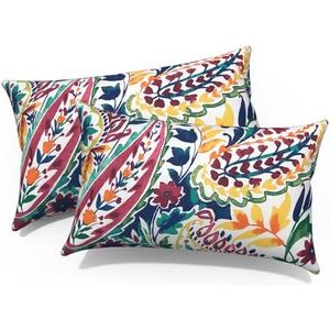 Melody Elephant Outdoor/Indoor Lumbar Pillows, Water Repellent Cushion Pillows, 12x20 Inch, Outdoor Pillows with Inserts for Home Garden, Pack of 2, Vigour Paisley