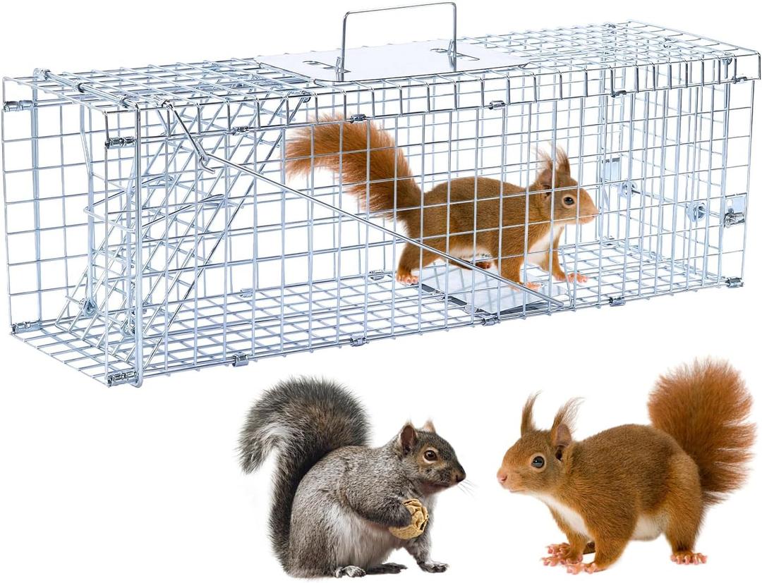 24 Humane Animal Trap Live Animal Trap Cage for Squirrels Small Stray Cats Rabbits Groundhogs Moles Gophers and Chipmunks up to 5.5 lbs Galvanized Rustproof Live Animal Cage Trap