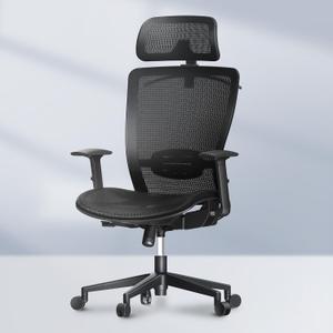 FLEXISPOT Ergonomic Office Chair High Back Mesh Swivel Computer Chair Home Office Desk Chairs with Wheels Lumbar Support Deep Black, Air Seat 23in Depth