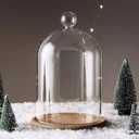 Home Decor Vases Glass Flower Display Cloche Bell Jar Dome Immortal Preservation + Wooden Base Everlasting Flower Glass Cover