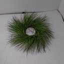 HD Designs Grass Vine Wreath, 1 ct