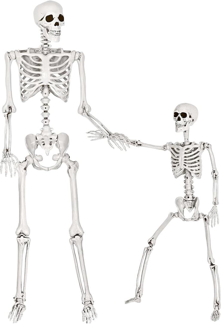 SpringFlower 5.4Ft & 3Ft Halloween Skeleton,Full Body Posable Skeletons Human Plastic Bones with Movable Joints, Halloween Decoration Indoor Outdoor Yard Lawn Garden Party Décor