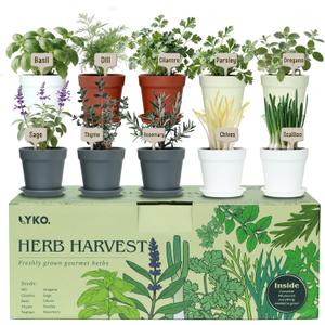 10 Indoor Herb Garden Kit, 33pcs Complete Kitchen Herb Starter Set Including 4-Color Pots, Soil & Tools, Unique Gift Ideas for Plant Lovers, Women, Men, Mom, Friend, Birthday, Housewarming, Christmas
