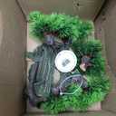 Underwater Treasures Full Bonsai Tree