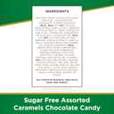 Russell Stover Sugar-Free Assorted Chocolate Caramels, 1.1 Pound (Pack of 1) (EXP 01/01/26)