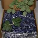 D-Seven Artificial Flowers 2.5" Teal Petite Avalanche Rose 25pcs Fake Roses w/Stem for DIY Wedding Bouquets Floral Arrangements Bridal Shower Baby Shower Party Home Decor