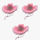 Pink Cowboy Hat - Sequins & Tiara Light -Up Blinking Western Cowgirl Hat with Boa Feathers with Paisely Pink Bandanas Princess Queen 3 Pack, Pink, 7 1/4
