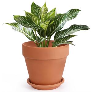 INGOFIN Terracotta Pot with Saucer - 10 Inch Ceramic Clay Pot for Plants with Drainage Hole, Large Terra Cotta Flower Planter with Tray for Indoor Outdoor Plants