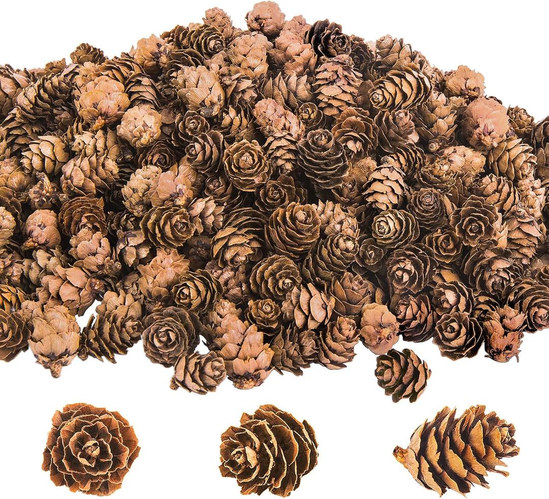 Deloky 800PCS Christmas Natural Mini Pine Cones-Thanksgiving Pinecones Ornaments-Fall Small Pinecones Vase Fillers for DIY Crafts, Fall, Christmas,Wedding Decor