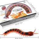 Tipmant Simulation RC Centipede Scolopendra Realistic Remote Control Vehicle Car Animal Insect Large Size Electric Prank Toy Kids Christmas Birthday Gifts (Orange Striped)
