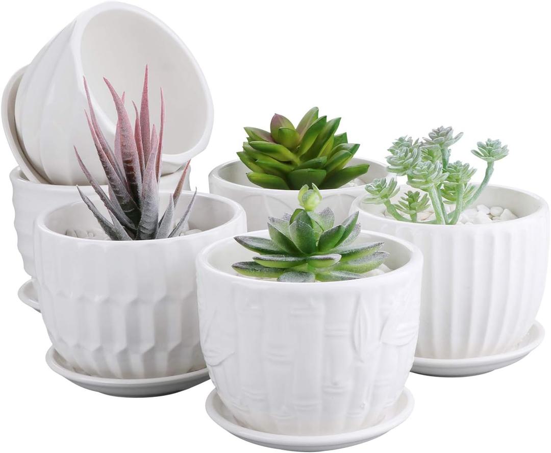 Brajttt Flower Pots, 4 Inch Cylinder Ceramic Plant Pots with Connected Saucer, Mini Ceramic Planters for Succulent and Little Snake Plants (6 Pack, White)
