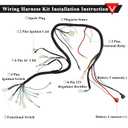 PRO BAT Complete Electrics 4 Stroke Wiring Harness Kit 8 Coil CDI Stator Tail Light for 150cc 200cc 250cc 300cc 4 Wheelers Stroke ATV Go Kart Quad Pit Dirt Bike Zongshen Lifan YX