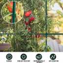 MAXPACE 125pcs Garden Stakes Kit: Includes 40 Sets of Fiberglass Plant Sticks Supports & Accessories for DIY 4ft, 5ft, 6ft, 7ft Stakes for Tomato, Vegetables, Indoor & Outdoor Gardening Supplies