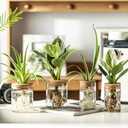 Glass Plant Propagation Stations for Plants Set of 4(2 Large & 2 Small) Hydroponic Vases for Plant Cuttings,Flower Arrangements, Home & Office DecorDesktop Vases for Living Room, Bedroom (4)