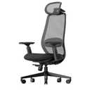 ProtoArc Ergonomic Office Chair – EC200 High-Back Mesh Computer Chair with Lumbar Support, 3D Adjustable Headrest & Sliding Seat for 8+ Hour Comfort, Big & Tall Home Office Desk Chairs - Black