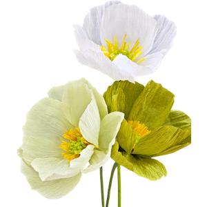 Sage Green White Crepe Paper Poppy Flower DIY Making Kit for Home Table Decor Gift Craft 24 pcs