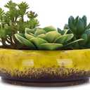 VanEnjoy 7.3 inch Round Large Shallow Succulent Ceramic Glazed Planter Pots with Drainage Hole, Bonsai Pots Garden Decorative Cactus Stand Flower Container (Yellow)