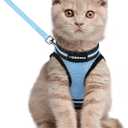 rabbitgoo Cat Harness and Leash Set for Walking Escape Proof, Adjustable Soft Kittens Vest with Reflective Strip for Cats, Comfortable Outdoor Vest, Light Blue, Large