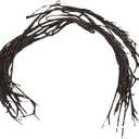 Light Garden 184163 - Willow Branch Garland, 96 Lights, 72" Long Electric Willow Lighted Branches