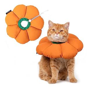 H HIDREAM Cat Cone Collar,Cute Waterproof Recovery Collar,Anti-Bite Lick Wound Healing Safety Elizabethan e Collar for Cats,Orange Pumpkin Halloween Costume, HDY01-005M