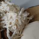 AMMSUN Boho Fringe Umbrella Outdoor Patio, 6.5ft UPF50+ Picnic Umbrella with Tassels with Steel Pole and Push Button Tilt, Antique White