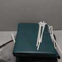 Heated Cat House for Outside with Dual Doors, Insulated Cat House Outdoor with Heating Pad, Weatherproof Heated Outdoor Cats Houses Waterrproof for Feral Cats (Deep Green, 17" L x 12" W x 13" H)