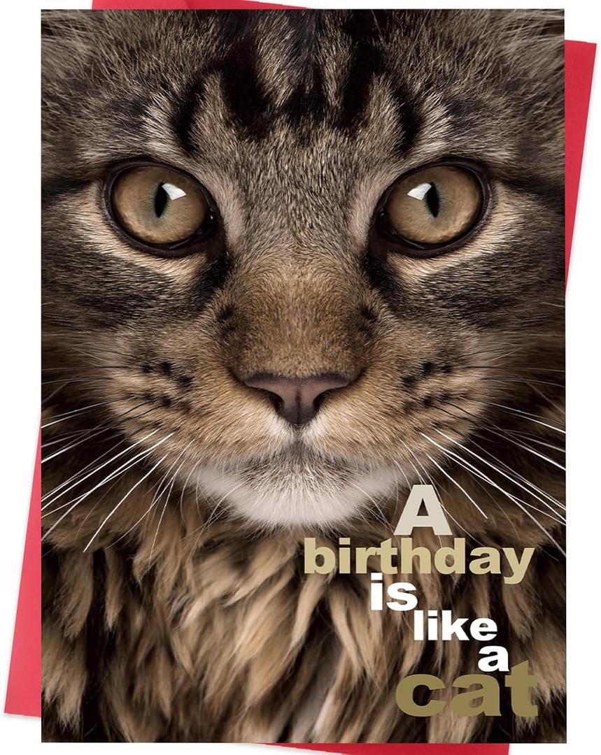 Funny Birthday Card for Cat Mom Cat Dad, Cat Lover Birthday Card Gift for Women and Men, Happy Birthday Card for Cat Lovers (SK-076)