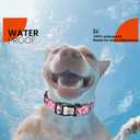 2 x Reflective Dog Collar, Personalized Dog Collars with QR Code Buckle, Soft Nylon Pet Collar Adjustable for Small Dogs, Camo Rose Red S