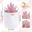 Der Rose Set of 2 Succulents Plants Artificial Mini Fake Succulents Plants for Office Desk Accessories for Women Pink Home Vanity Decor