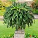 MARTINE MALL 2Pcs 48''/128 Leaves Artificial Ferns for Outdoors Look Real Fake Ferns, Large Faux Boston Ferns for Outdoor Planter Realistic UV Resistant Artificial Fake Plants for Porch Patio Hanging